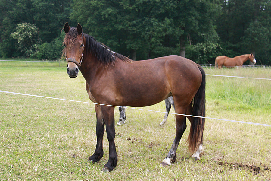 Valerie juni 2012 20